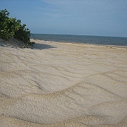 Picture 200